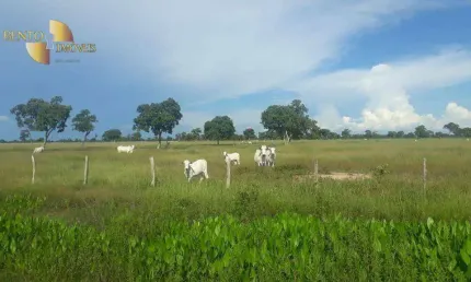 Fazenda à venda, 164380000 m² por r$ 68.000.000,00 - zona rural - poconé/mt