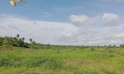 Fazenda à venda, 50000000 m² por R$ 65.000.000,00 - Zona Rural - Cotriguaçu/MT