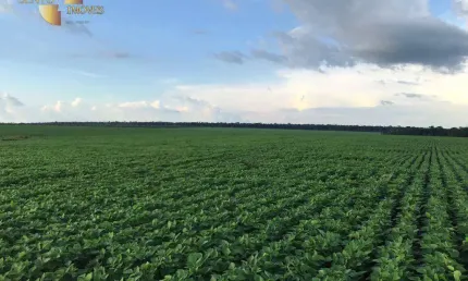 Fazenda à venda, 35000000 m² por R$ 150.000.000,00 - Zona Rural - Itauba/MT