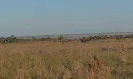 Fazenda à venda, 13000000 m² por R$ 18.000.000,00 - Zona Rural - Primavera do Leste/MT