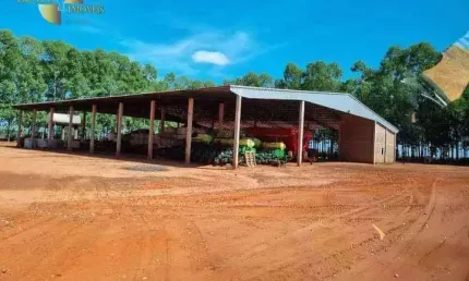 Fazenda à venda, 530780000 m² por r$ 159.210.000,00 - zona rural - nova ubiratã/mt