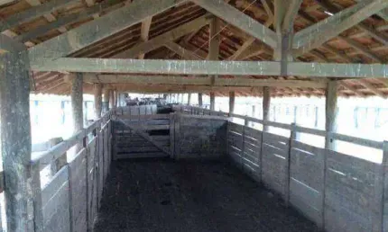Fazenda à venda, 119000000 m² por R$ 150.000.000,00 - Zona Rural - Ribeirão Cascalheira/MT