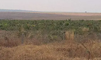 Fazenda, 25000000 m² - venda por R$ 75.000.000,00 ou aluguel por R$ 0,10/mês - Zona Rural - Primavera do Leste/MT