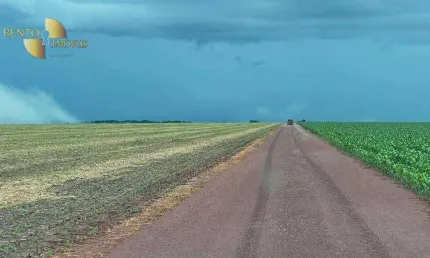 Fazenda à venda, 74000000 m² por R$ 170.000.000,00 - Zona Rural - Nova Mutum/MT
