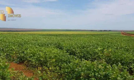 Fazenda à venda, 30900000 m² por R$ 474.624.000,00 - Centro - Campo Verde/MT