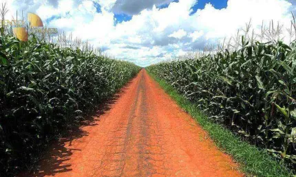 Fazenda à venda, 36000000 m² por R$ 230.400.000,00 - Zona Rural - Tabaporã/MT