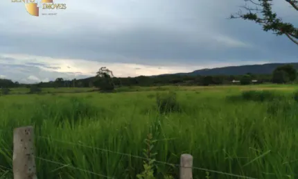 Fazenda à venda, 9760000 m² por R$ 12.000.000,00 - Zona Rural - Nossa Senhora do Livramento/MT