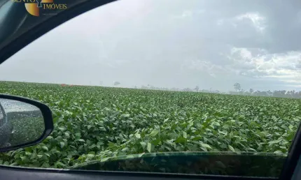 Fazenda à venda, 30250000 m² por r$ 60.000.000,00 - zona rural - nova monte verde/mt
