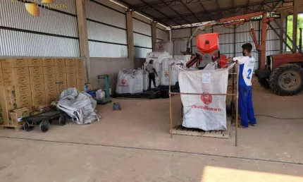 Fazenda à venda, 5550000 m² por R$ 20.000.000,00 - Zona Rural - Paranatinga/MT