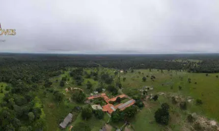 Fazenda à venda, 2200000 m² por r$ 13.500.000,00 - zona rural - são josé do rio claro/mt