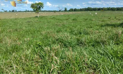 Fazenda à venda, 2670000 m² por R$ 8.000.000,00 - Zona Rural  - Várzea Grande/MT