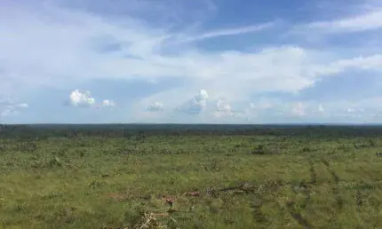 Fazenda à venda, 20940000 m² por r$ 35.000.000,00 - zona rural - santa rita do trivelato/mt