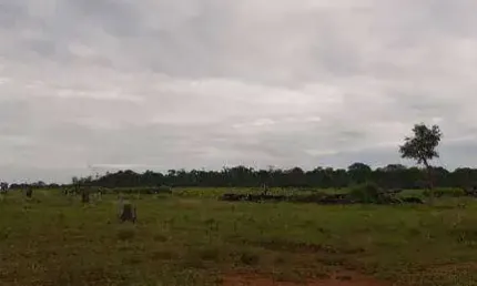 Fazenda à venda, 18850000 m² por r$ 83.200.000,00 - zona rural - juina/mt
