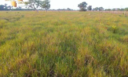 Fazenda à venda, 5000000 m² por R$ 20.000.000,00 - Zona Rural - Cuiabá/MT