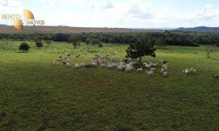 Fazenda à venda, 4700000 m² por R$ 7.000.000,00 - Zona Rural - Dom Aquino/MT