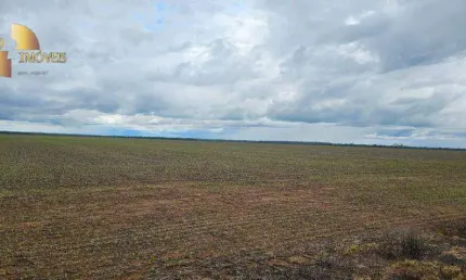 Fazenda à venda, 3100000 m² por r$ 27.500.000,00 - centro - tapurah/mt
