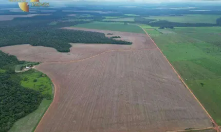 Fazenda à venda, 4970000 m² por r$ 18.000.000,00 - zona rural - tapurah/mt