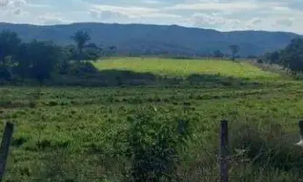 Fazenda à venda, 8400000 m² por R$ 16.000.000,00 - Zona Rural - Rosário Oeste/MT
