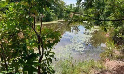 Fazenda à venda, 404 hectares por r$ 15.000.000 - zona rural - nobres/mt