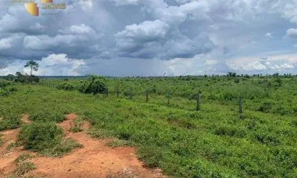 Fazenda para alugar, 30000000 m² por R$ 10.000,00 - Zona Rural - Alta Floresta/MT