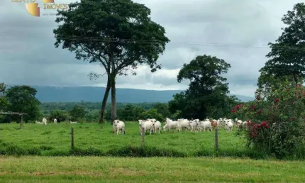Fazenda à venda, 30000000 m² por R$ 35.000.000,00 - Zona Rural - Barra do Bugres/MT