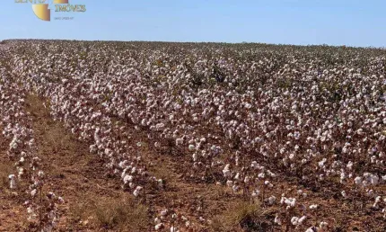 Fazenda à venda, 156300000 m² por r$ 1.250.000.000,00 - rural - ipiranga do norte/mt