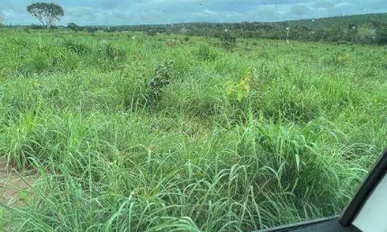 Fazenda à venda, 31500000 m² por R$ 55.000.000,00 - Zona Rural - Paranatinga/MT