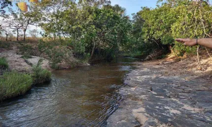 Fazenda à venda, 10460000 m² por R$ 20.000.000,00 - Zona Rural - Arinos/MG