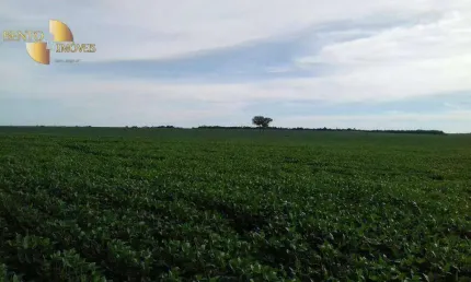 Fazenda à venda, 20400000 m² por R$ 80.000.000,00 - Zona Rural - Ribeirão Cascalheira/MT