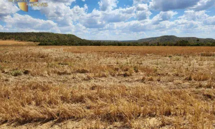 Fazenda à venda, 22458100 m² por R$ 60.000.000,00 - Zona Rural - Paranatinga/MT