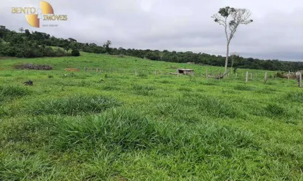 Fazenda à venda, 9070000 m² por R$ 26.000.000,00 - Zona Rural - Guarantã do Norte/MT