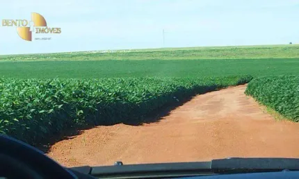 Fazenda à venda, 11430000 m² por r$ 30.000.000,00 - zona rural - jaciara/mt