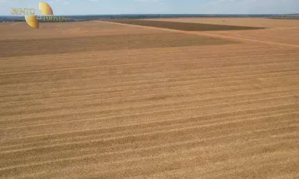 Fazenda à venda, 42630000 m² por r$ 300.000.000,00 - zona rural - sinop/mt