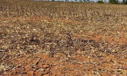 Fazenda à venda, 176000 hectares por r$ 880.000.000 - zona rural - aroazes/pi