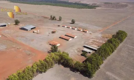 Fazenda à venda, 220000000 m² por r$ 450.000.000,00 - rural - santa filomena/pi