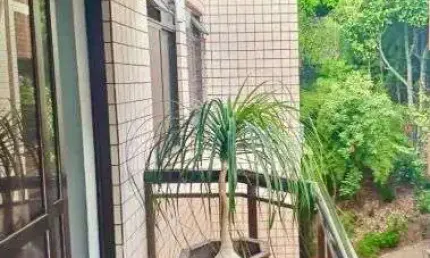 Apartamento espetacular, 52m², 1 quarto, ribeira, ilha do governador