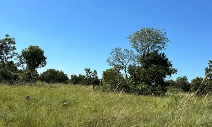 Fazenda com 2 salas à venda na Zona Rural, Barão de Melgaço 