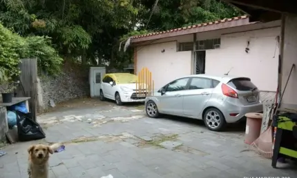 Terreno à venda de 338m² no butantã com casa que precisa de reforma total terreno residencial/comerc