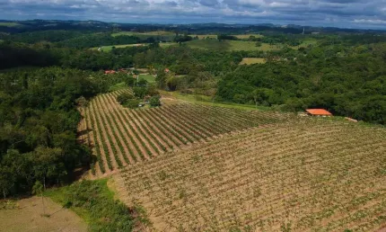 Chácara / sítio à venda no horto florestal, jundiaí  por r$ 13.990.000
