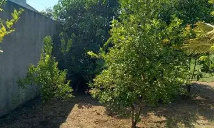Excelente lote 300 m² em guaratiba - 20 min. do recreio - rj