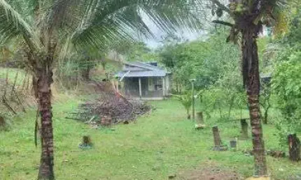 Mini Sitio em Campo Grande com 3.000 m² , possui casa de com 2 quartos