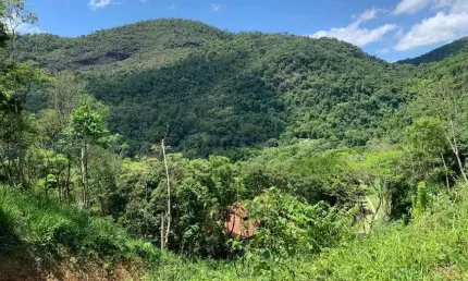Terreno em condomínio para venda possui 3990 metros quadrados em Pedro do Rio - Petrópolis - RJ
