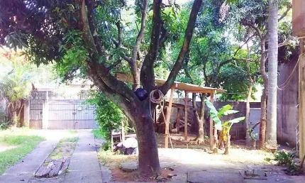 Casa com 2 quartos à venda na Rua Giácomo Saratelli, Vila Aurora (Zona Norte), São Paulo