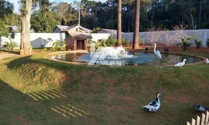 Chácara a 1,5 km do centro de ipiranga, com 1.650 m2, com casa de 120 m2, com 3 quartos