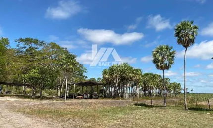 Chácara / sítio com 3 quartos à venda na Rural, Área Rural de Corumbá, Corumbá