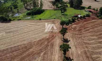 Chácara / sítio com 3 quartos à venda na Rural, Zona Rural, Nova Fátima
