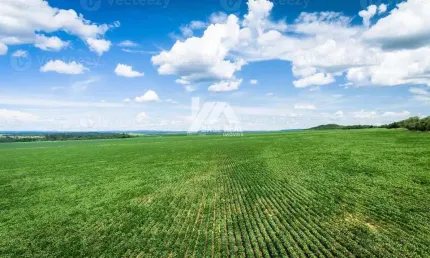 Chácara / sítio à venda na Rural, Zona Rural, Terra Roxa