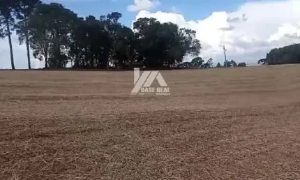 Chácara / sítio à venda na Rural, Zona Rural, Tibagi