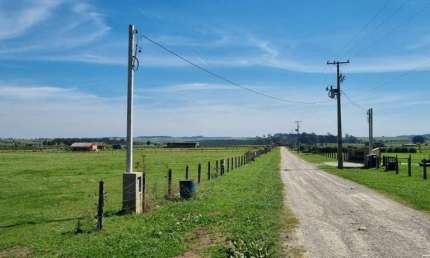Chácara para Venda em Balsa Nova, São Luiz do Purunã