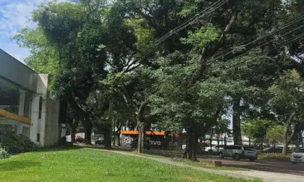 Terreno comercial para alugar na Rua São Marcelino Champagnat, 784, Mercês, Curitiba